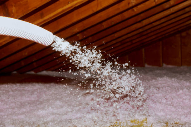 Best Geographic-Specific Insulation Services in Estill Springs, TN