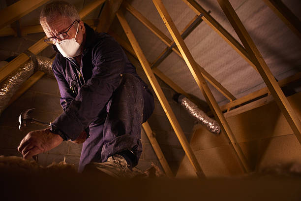 Best Eco-Friendly Insulation in Estill Springs, TN